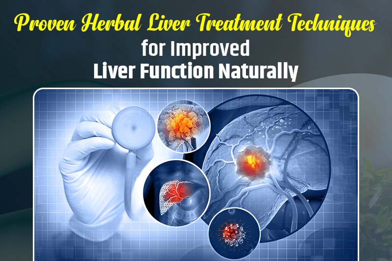 Proven Herbal Liver Treatment Techniques for Improved Liver Function Naturally